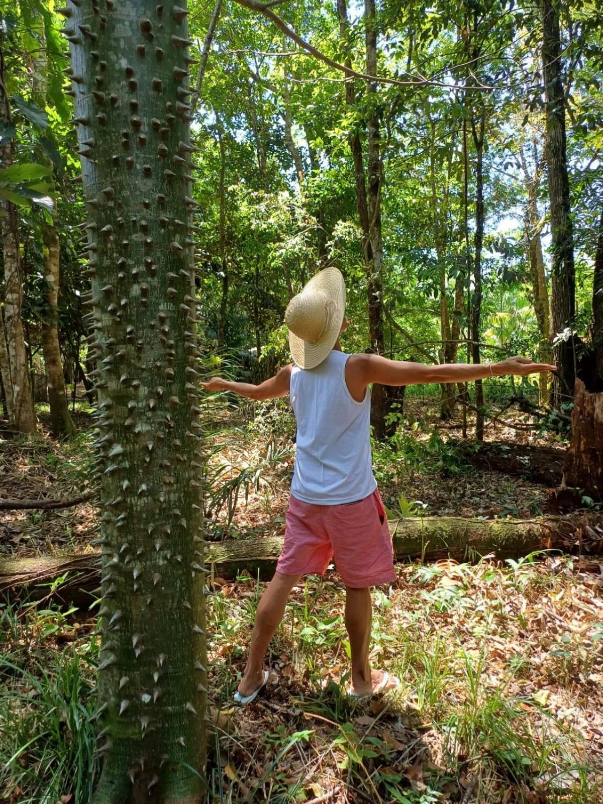 Eco Sitio O Labirinto Do Fauno Ξενοδοχείο Mosqueiro  Εξωτερικό φωτογραφία
