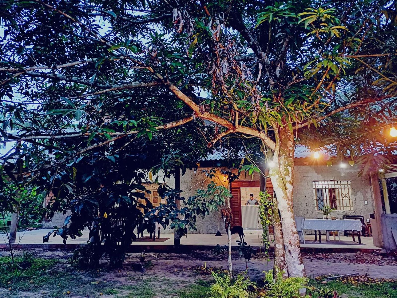 Eco Sitio O Labirinto Do Fauno Ξενοδοχείο Mosqueiro  Εξωτερικό φωτογραφία