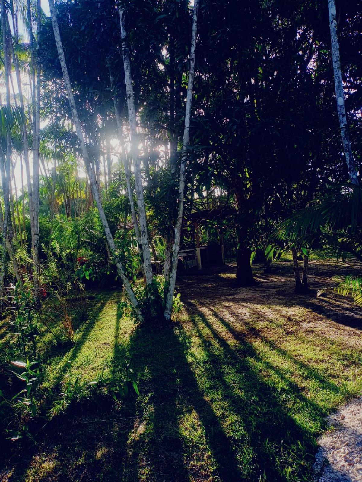 Eco Sitio O Labirinto Do Fauno Ξενοδοχείο Mosqueiro  Εξωτερικό φωτογραφία